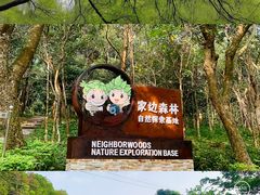 -广东茂名森林公园