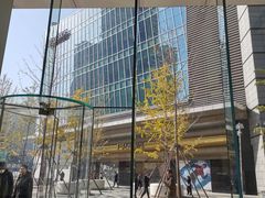 -Apple零售店(华贸购物中心店)