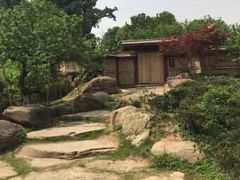 -秀丽东方