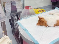 -达爱动物医院·犬猫分区·CT·复杂眼科(远洋山水分院)