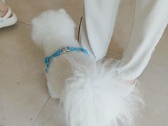 -艾贝尔宠物医院·狂犬免疫点(江山金象城店)