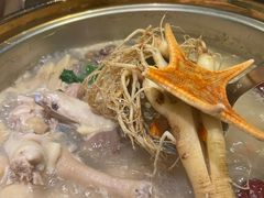 -千岛蚝高压锅生蚝·人参火锅(白云万达店)