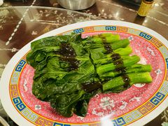 菜心-大中鱼翅 Taitong Shark Fin