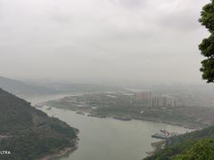 -铁山坪森林公园