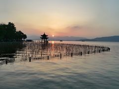 -西湖外事游船(湖滨二公园外事游船码头)