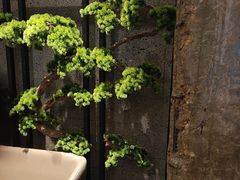 -百富源·海鲜辽菜(和平北大街店)