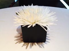 -Le Bernardin