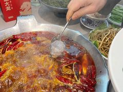 -渝大龙重庆火锅(温泉月亮湾店)