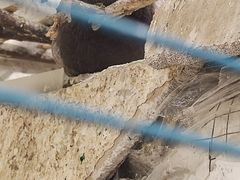 -裕彤国际体育中心