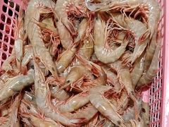 -开鑫鱼厂·宁波海鲜(前程智慧城店)