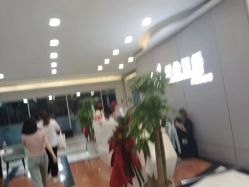 -单色舞蹈