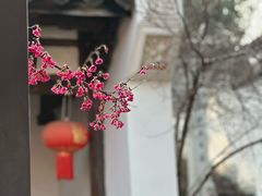 -乌山风景区