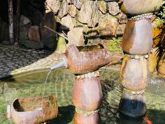 -大奇山国家森林公园