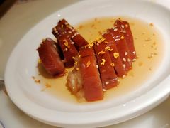 桂花糖藕-佬肥猫(国华广场店)