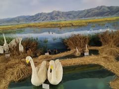 -延庆地质公园博物馆