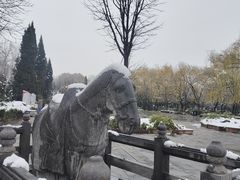 -洛阳白马寺