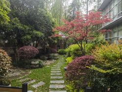 -馨月汇·一悦馨香月子中心(前滩店)