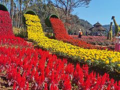 -广州市石门国家森林公园