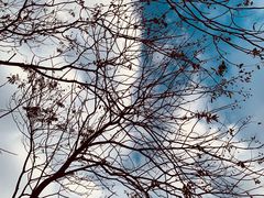 -杭州城北体育公园