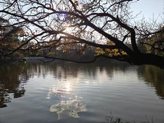 -嘉华鲜花饼·现烤(昆明老街店)