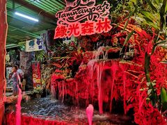 -绿光森林餐厅