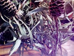 -MIKAKU(万达广场上海宝山店)