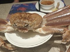 -初色海鲜自助(万丰路店)