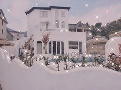 -龙坞茶村