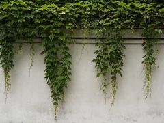 -王阳明故居