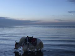 -青海湖国家重点风景名胜区
