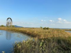 -太湖湖滨国家湿地公园-停车场