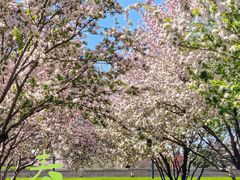 -唐山抗震纪念碑广场