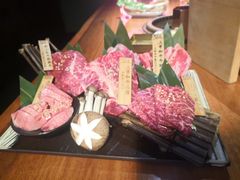 -肉魁屋·烧肉·烧鸟·酒场(高新店)