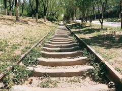 -永定河休闲森林公园