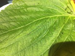 -那胡同里的小烤肉馆(开发区万达店)
