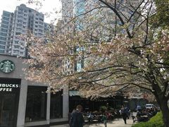 -玛格萝妮比萨屋(四平店)