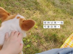 -金海湾滨江公园