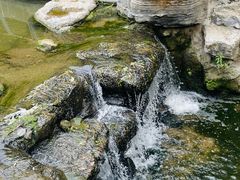 -白水寺森林公园