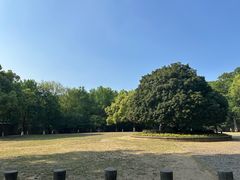 -灵谷景区