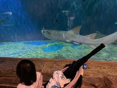 -华夏文旅海洋公园