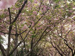-白塘生态植物园