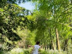 -上海海湾国家森林公园