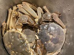 -星伦多自助料理(华润万象城店)