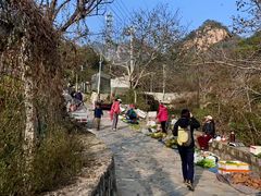 -大岭沟猕猴桃谷风景区