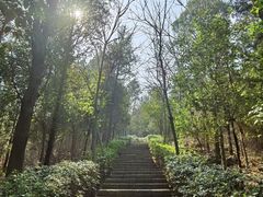 -云龙山
