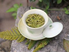 -十八棵（老龙井）御茶园(老龙井店)