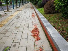 -岳阳东站
