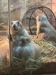 -Zoolung Zoolung动物主题公园(海信广场店)