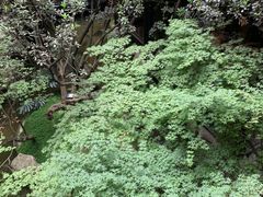 -鱼桥巷·美学川菜