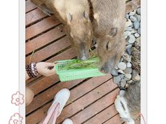-昆明动物园